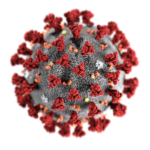 covid-19 molecule